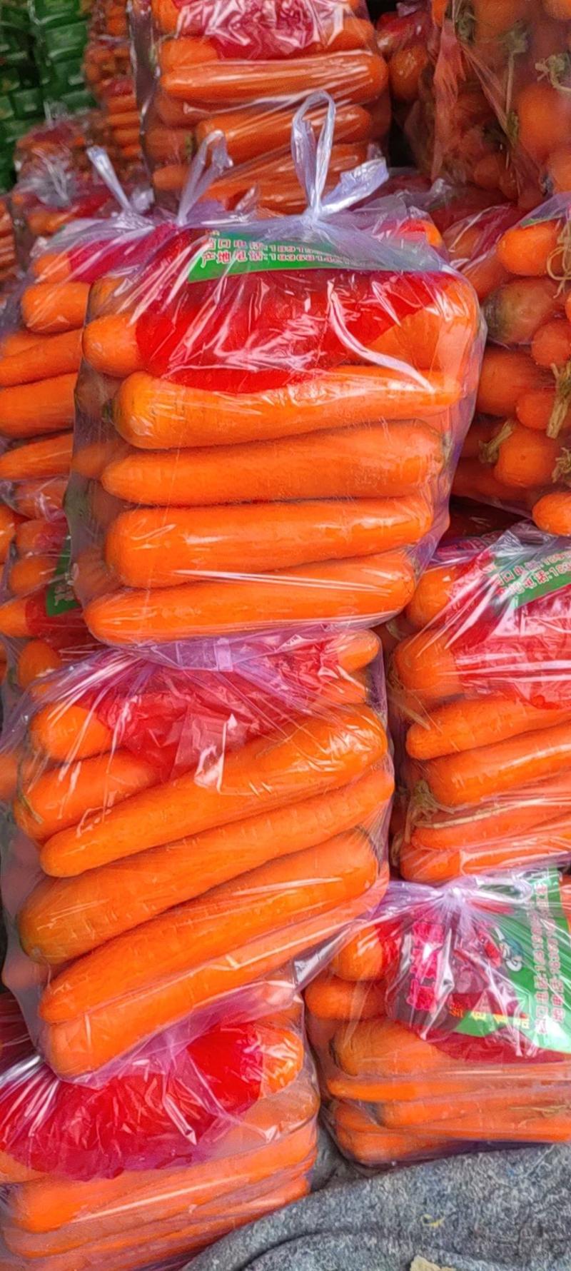 精品胡萝卜支持各种规格各种包装
