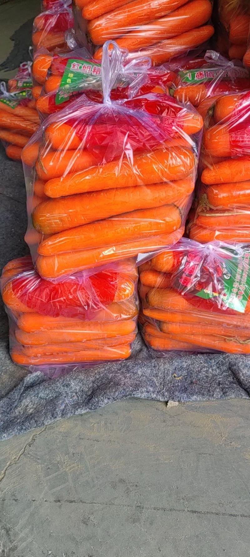 精品胡萝卜支持各种规格各种包装