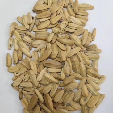 脱皮多味瓜子，生产各种规格口味瓜子，欢迎采购。