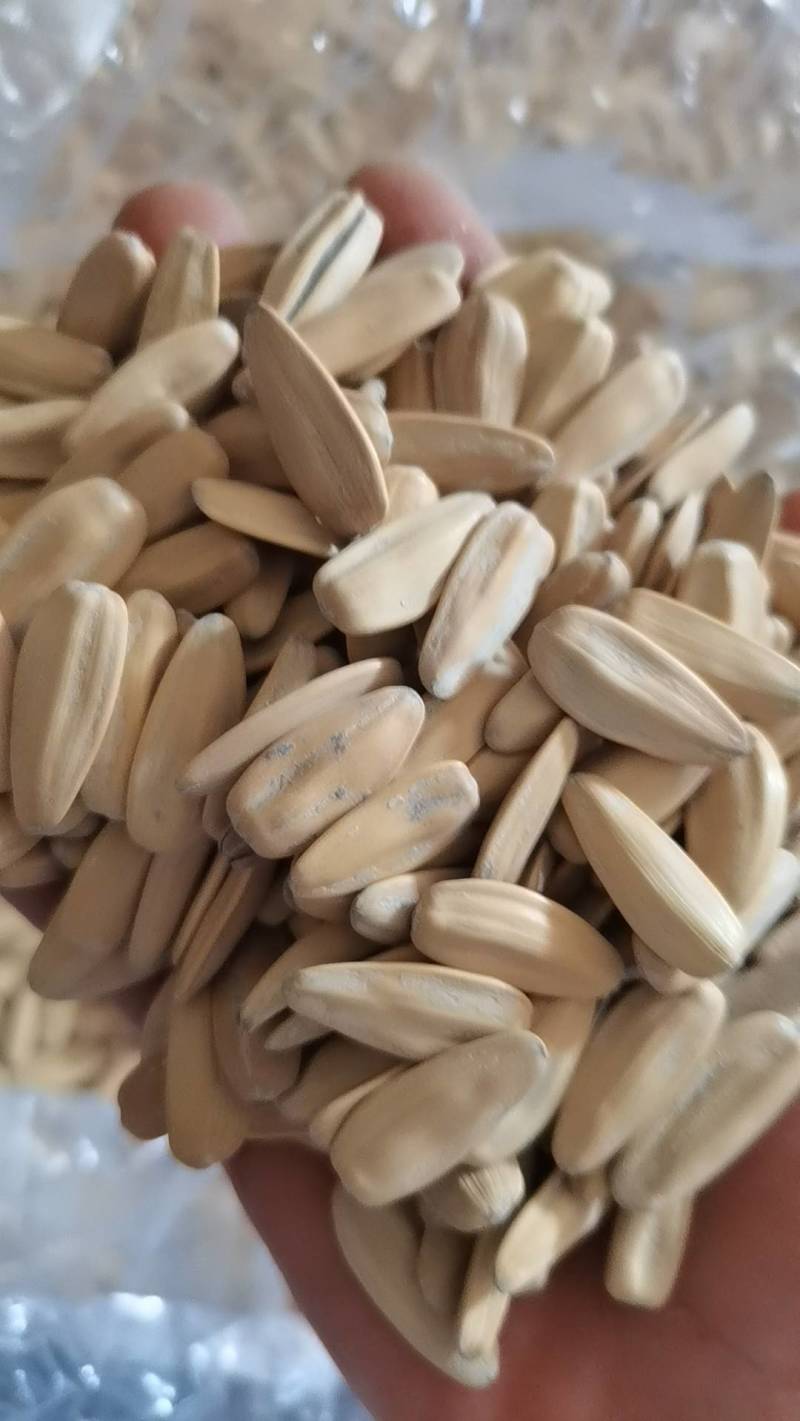 脱皮多味瓜子，生产各种规格口味瓜子，欢迎采购。