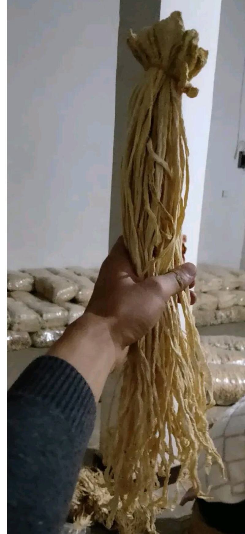 东北辽宁大根白萝卜条，五把刀萝卜条，天然晾晒。一手货源