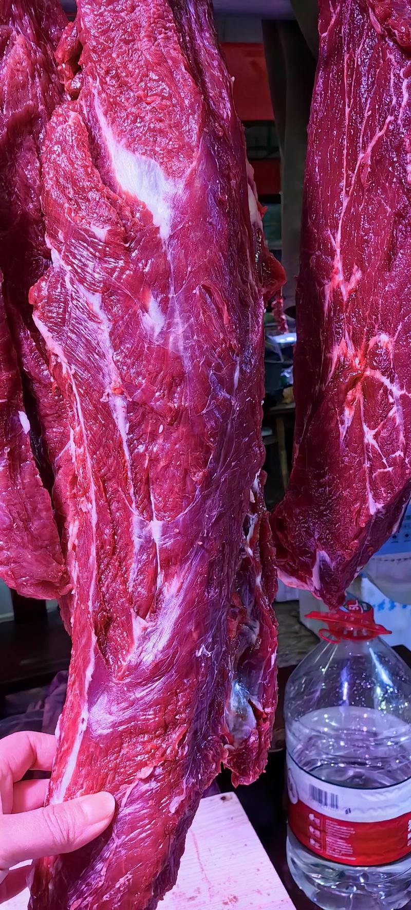 国产精修黄牛牛瘦肉，热鲜和冷冻锁鲜都，品质保证一手货源