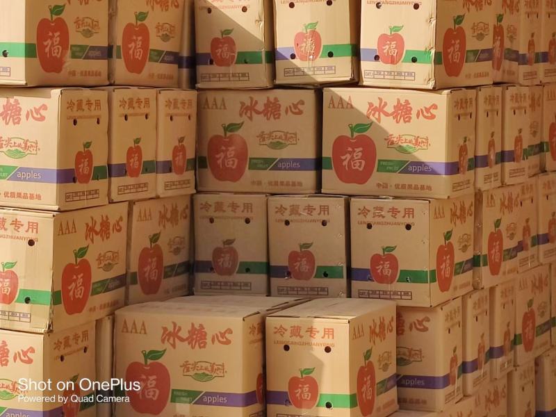 山西省运城市临猗县坡上苹果