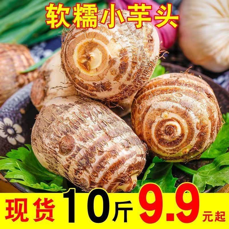 新鲜现挖小芋头毛芋头非荔浦山东芋头