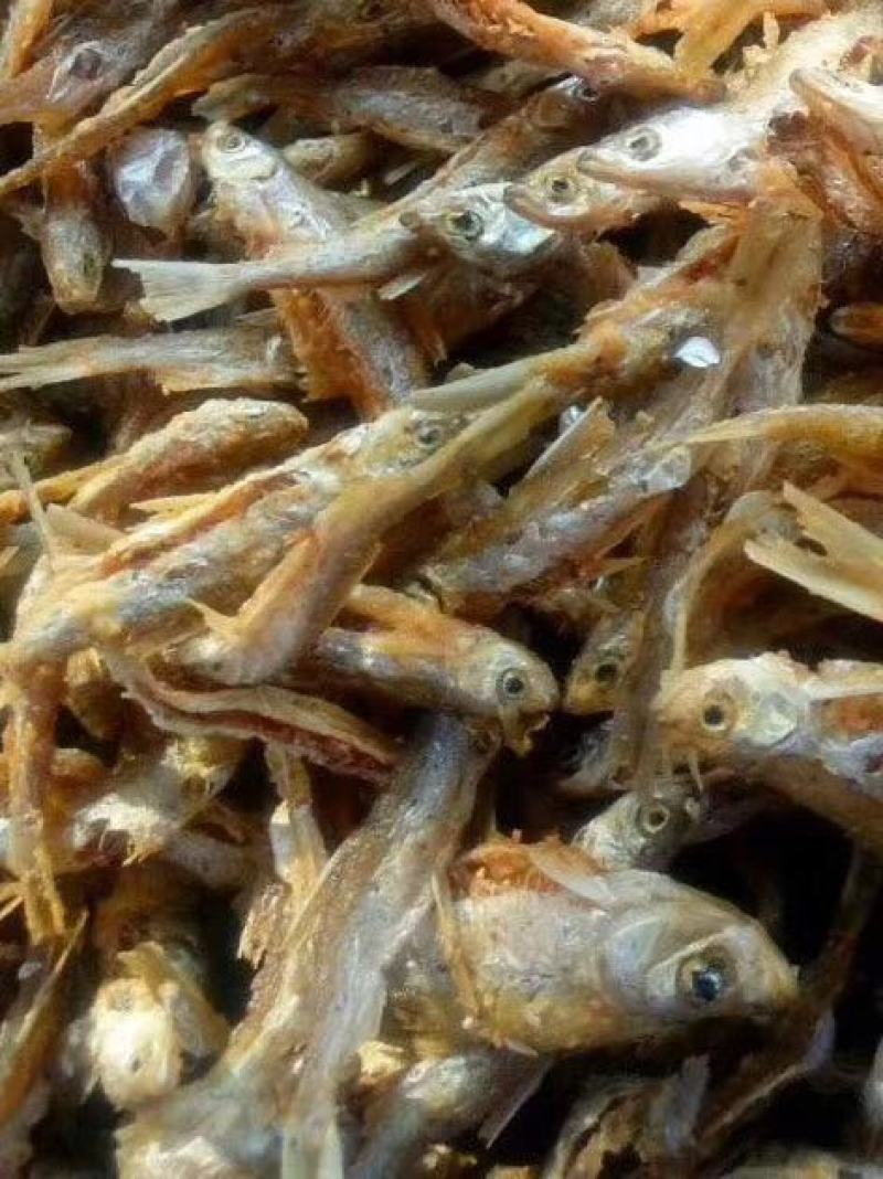 精品泥鳅鱼干，产地直发，品质保证，欢迎前来选购