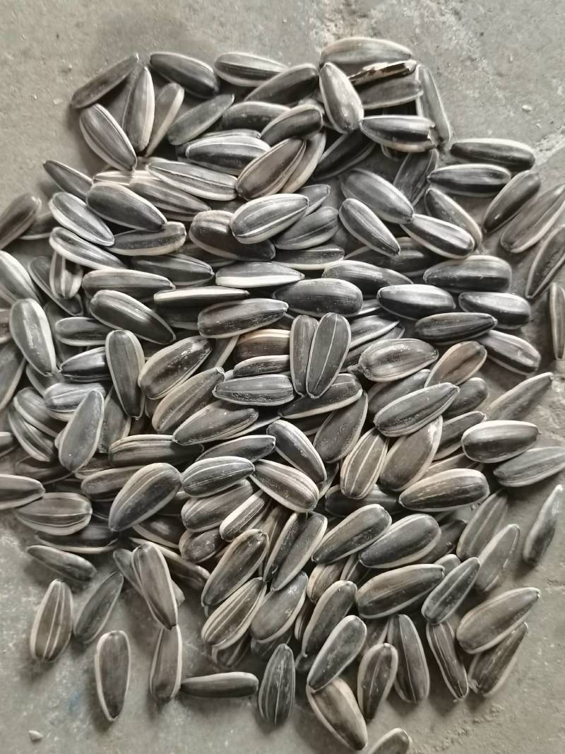 焦糖瓜子，各种口味，各种规格，欢迎订购。