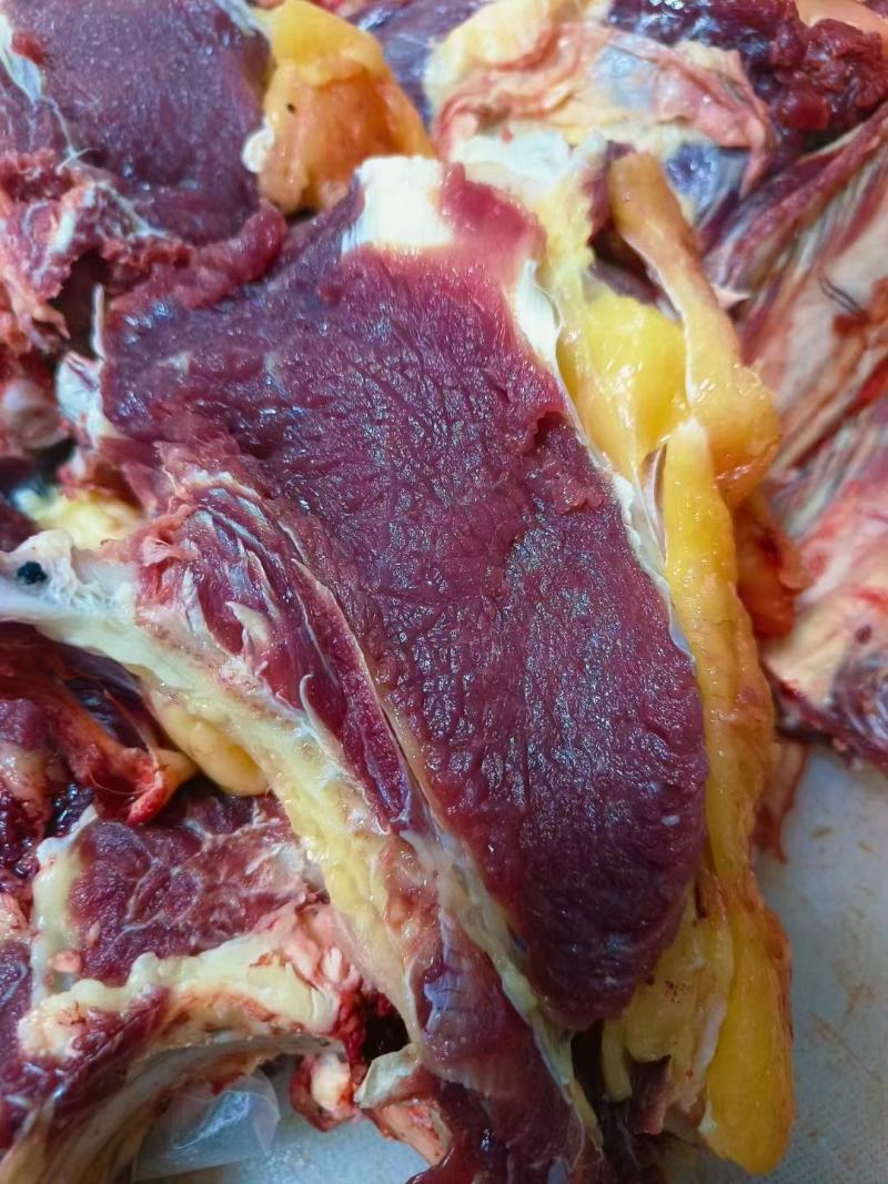 内蒙古锡林郭勒草地黄牛肉，黄膘牛肉牛排，去油。
