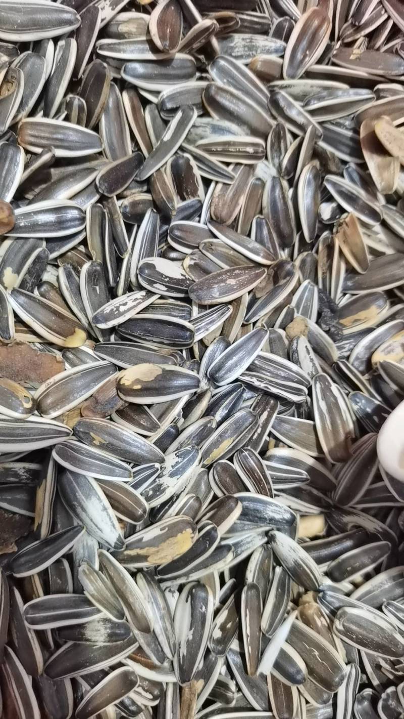 电商原味，各种口味瓜子，欢迎订购，支持定做。