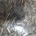 电商原味，各种口味瓜子，欢迎订购，支持定做。