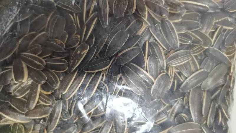 电商原味，各种口味瓜子，欢迎订购，支持定做。