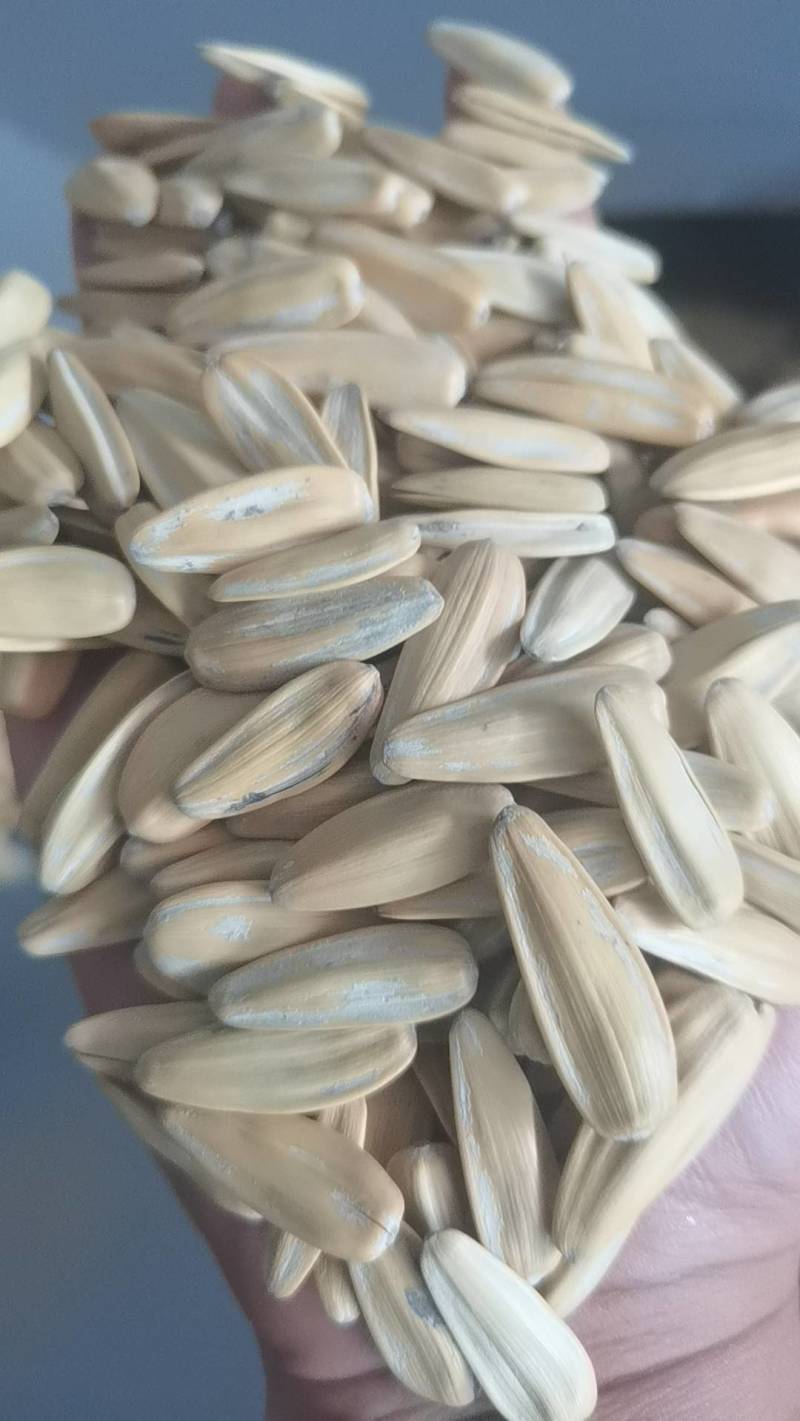 电商牙签瓜子，颗粒饱满。各种口味，欢迎订购，观察定做。