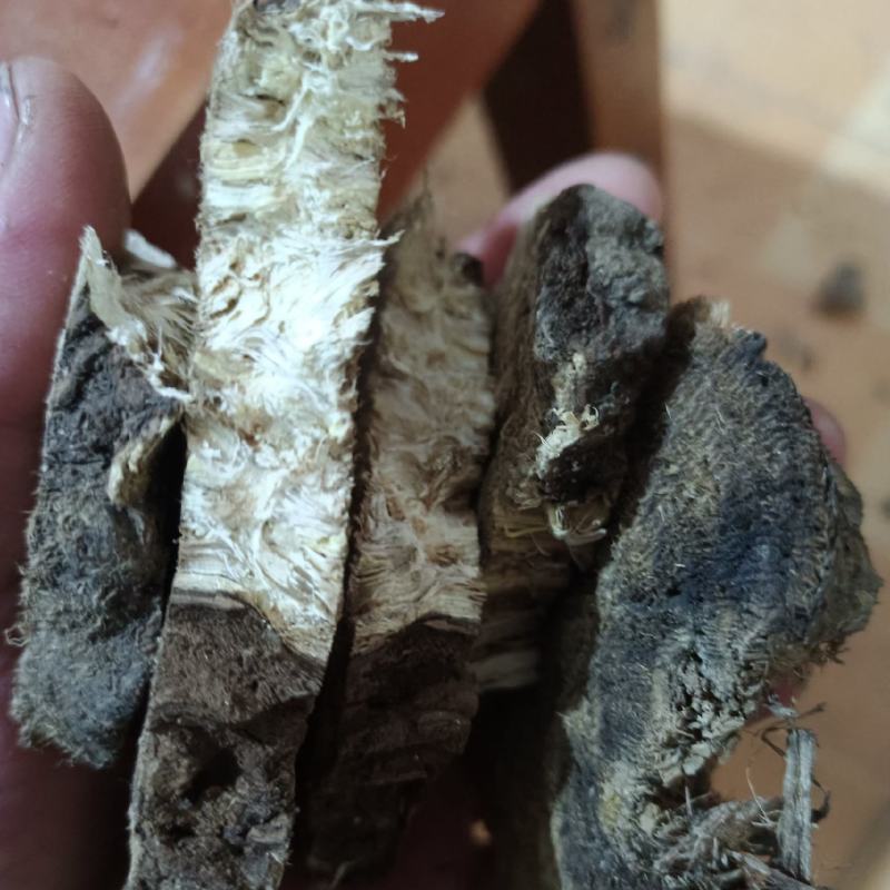 葛根片药厂货