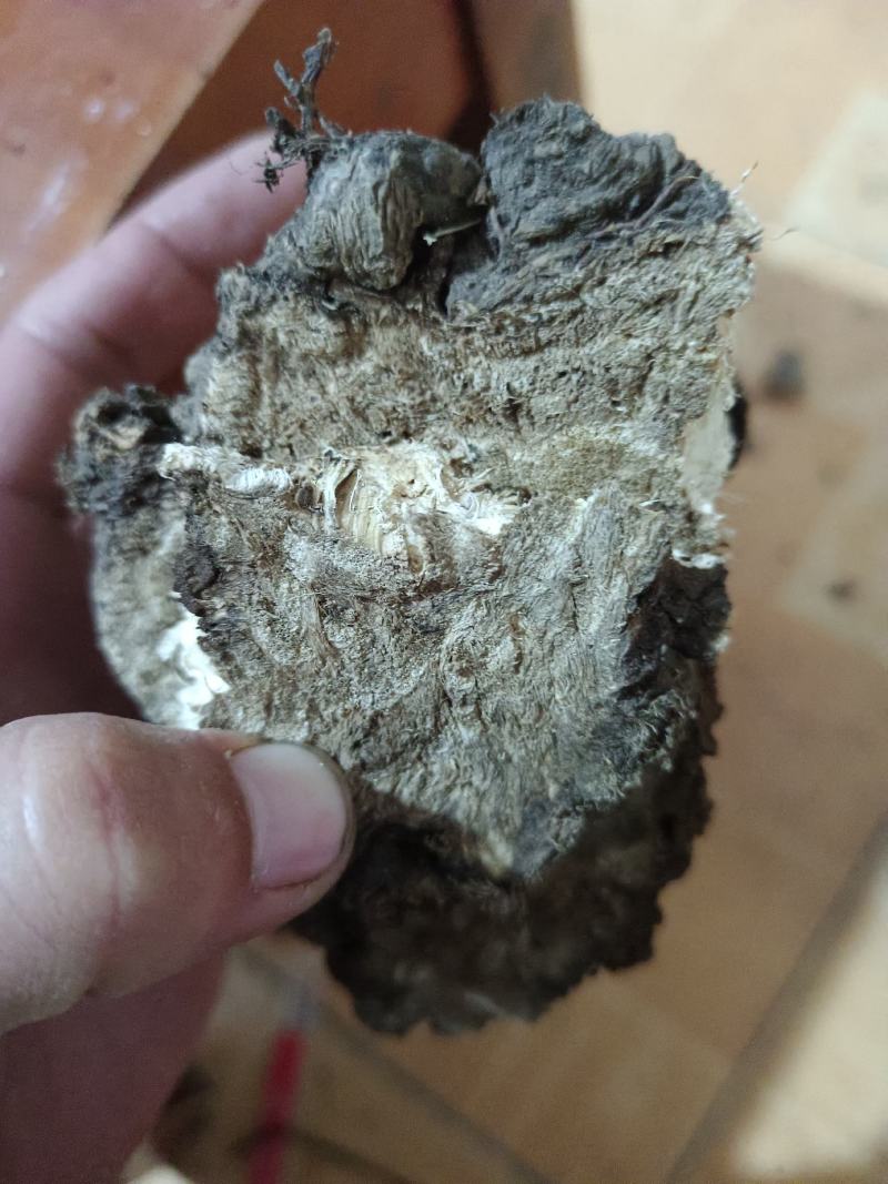 葛根片药厂货