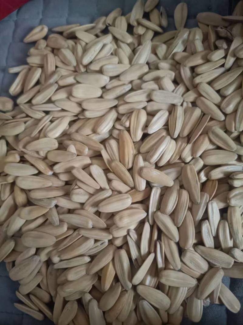 焦糖瓜子，电商专用，生产各种口味瓜子，各种规格，质量保障