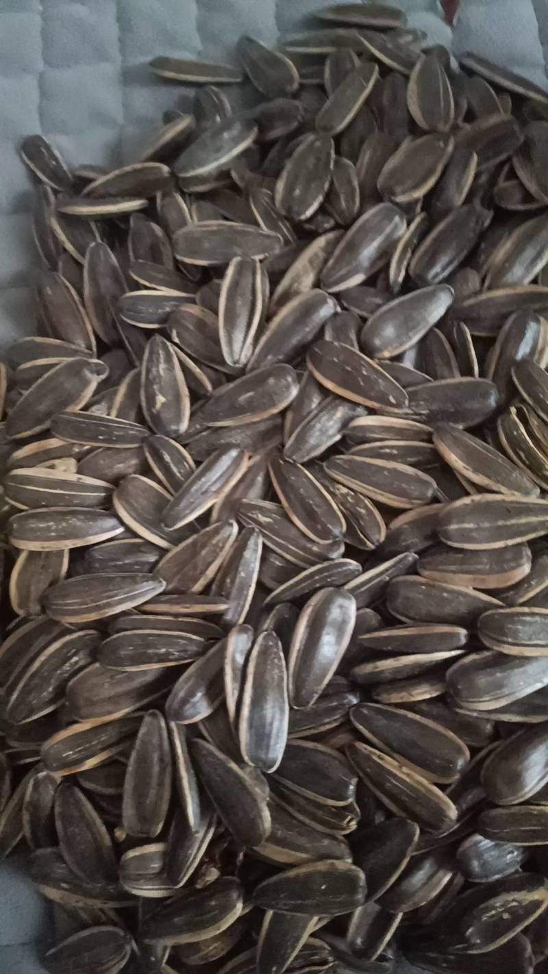 焦糖瓜子，电商专用，生产各种口味瓜子，各种规格，质量保障