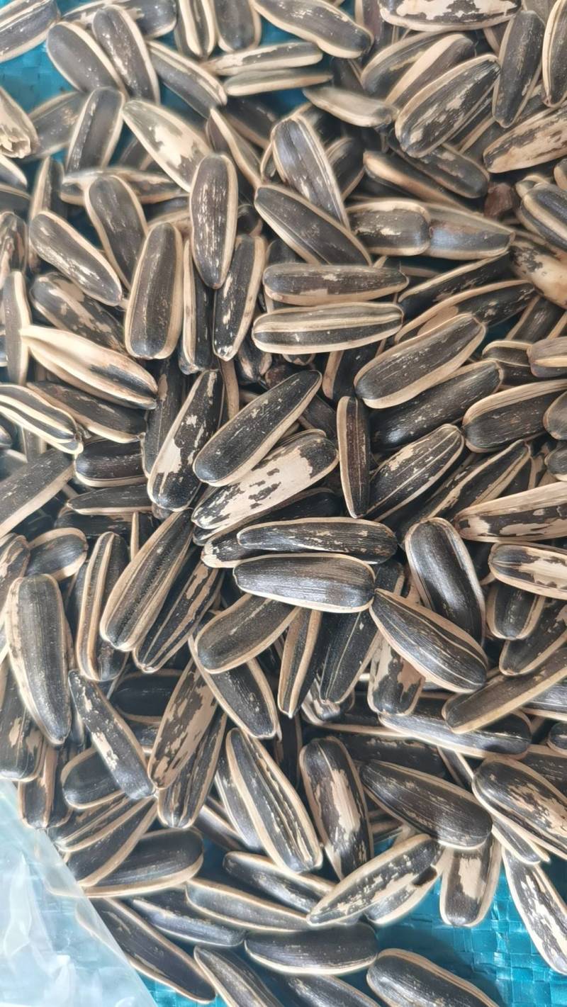 焦糖瓜子，电商专用，生产各种口味瓜子，各种规格，质量保障