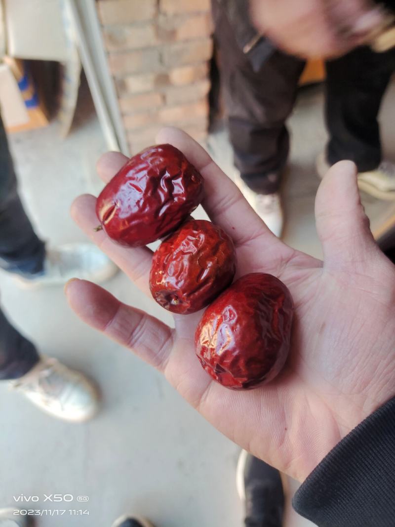 吕梁红枣，滩枣大量上市中，一手货源，视频看货