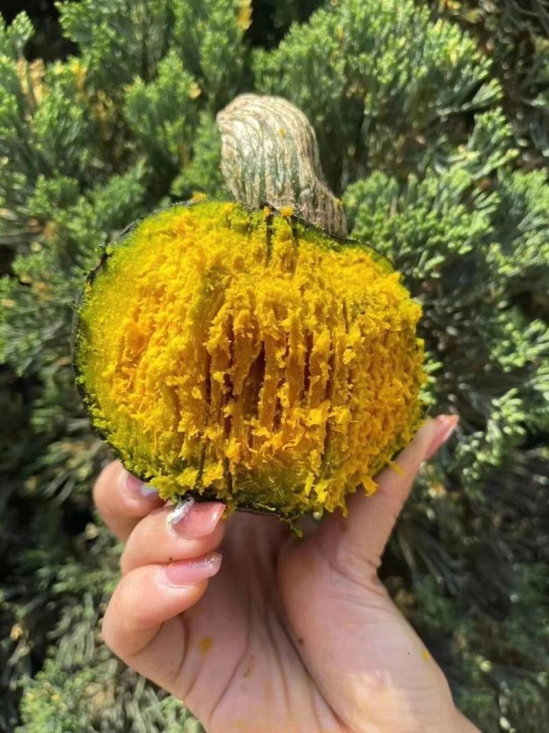 云南产区大鹏贝贝南瓜。有100吨左右，质量保证。要的联系