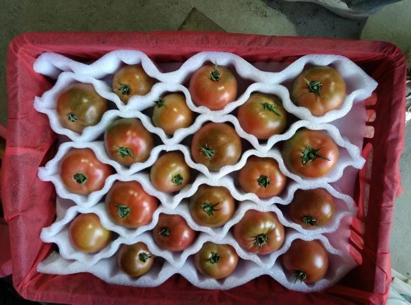 草莓番茄，草莓西红柿，铁皮柿子供应全国