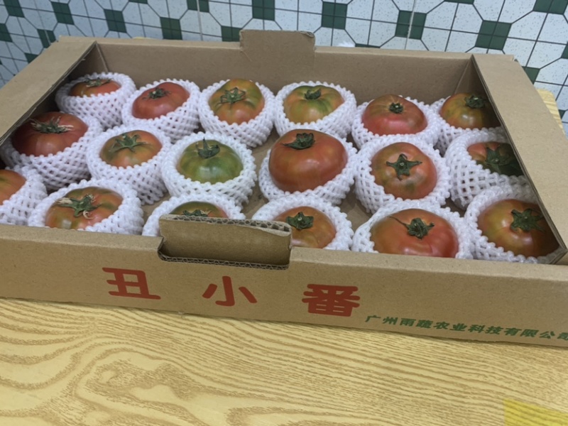 草莓番茄，草莓西红柿，铁皮柿子供应全国