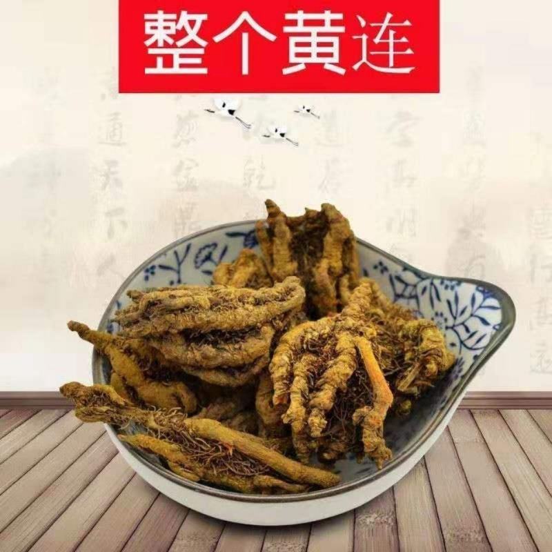 四川黄连片中药材苦黄连鸡爪黄连黄连粉土黄连泡水泡茶解