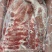 肥猪前五花肉