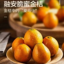 融安脆蜜金桔，地理标志特产，纯甜无酸，皮脆爆汁