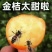 融安滑皮金桔，国家地理标志特产，纯甜无酸，老少皆宜