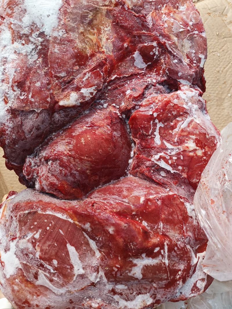 冷鲜冻马肉厂家直销，品质有保障，诚信经营，量大从优
