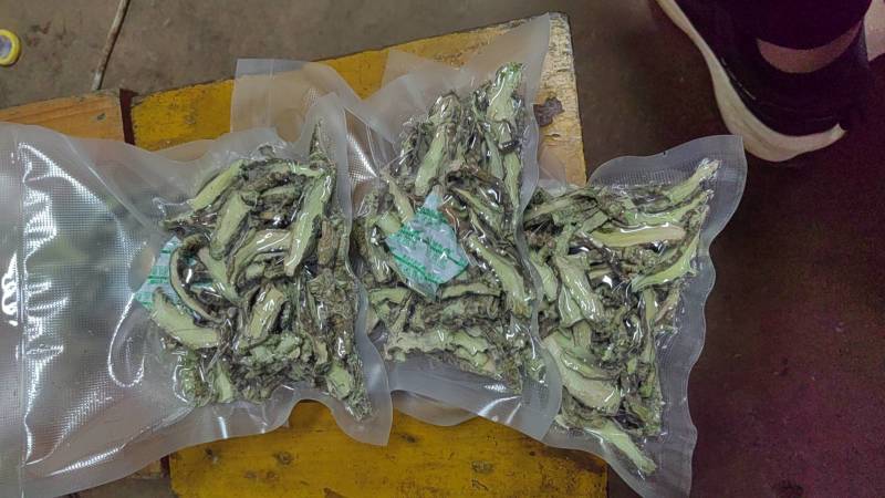 山葵干片