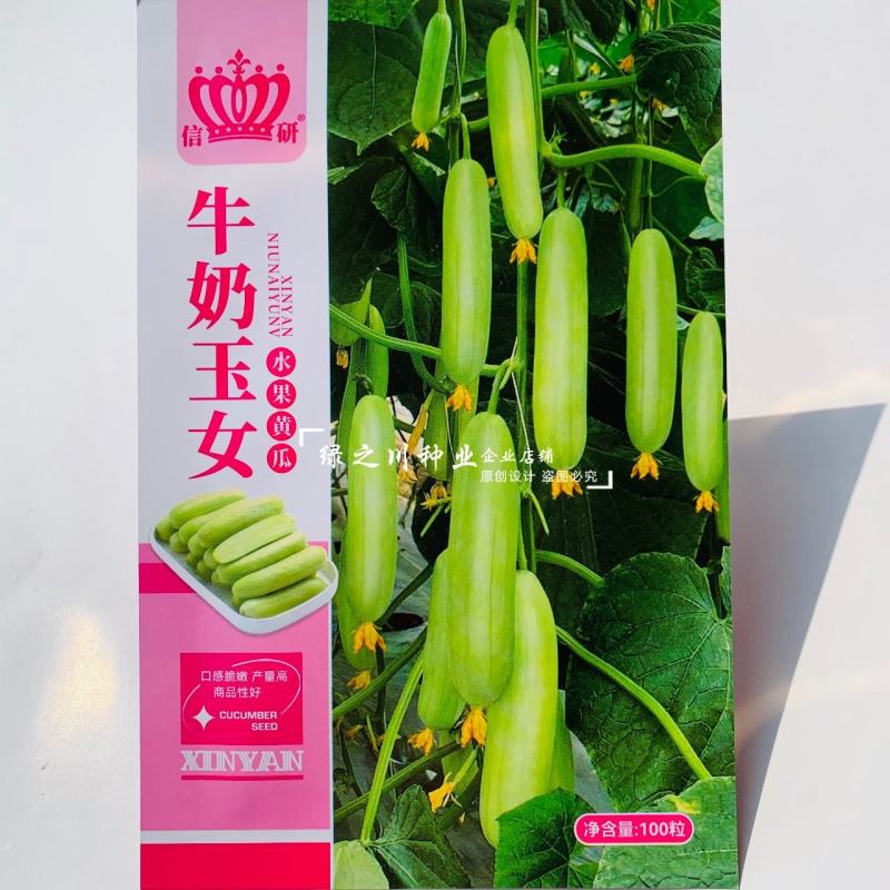 牛奶玉女黄瓜种子脆甜水果黄瓜种子翠绿色长棒型黄瓜产量高