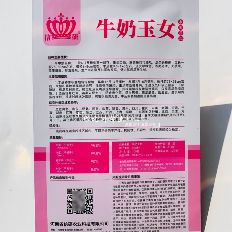 牛奶玉女黄瓜种子脆甜水果黄瓜种子翠绿色长棒型黄瓜产量高
