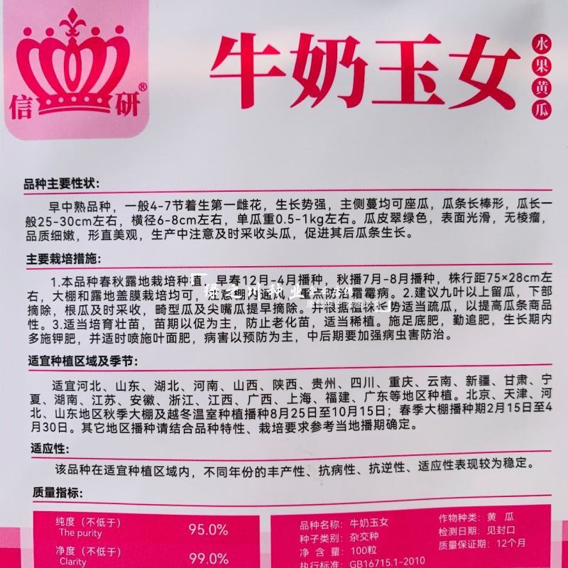 牛奶玉女黄瓜种子脆甜水果黄瓜种子翠绿色长棒型黄瓜产量高