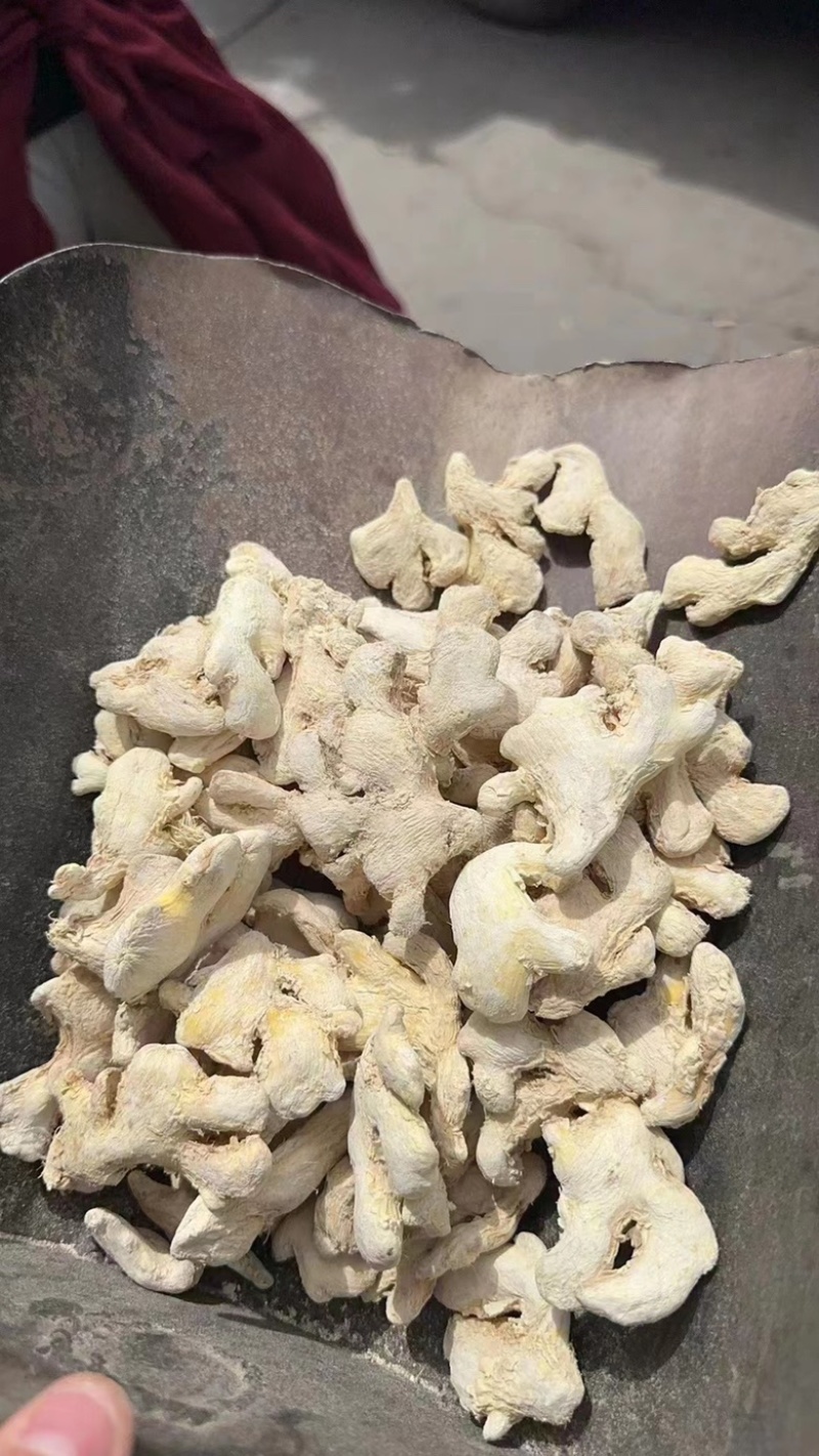 小黄姜展会地摊电商云南小黄姜姜块姜粉姜干干姜姜片