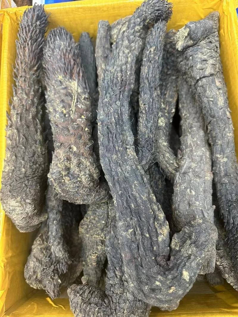 野生肉苁蓉新疆野生肉苁蓉批发好价长期合作