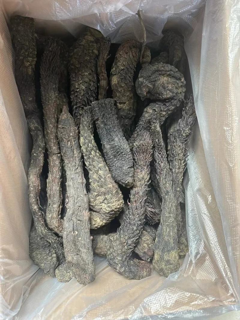 野生肉苁蓉新疆野生肉苁蓉批发好价长期合作