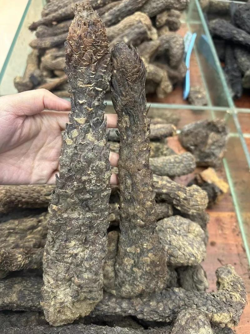 野生肉苁蓉新疆野生肉苁蓉批发好价长期合作
