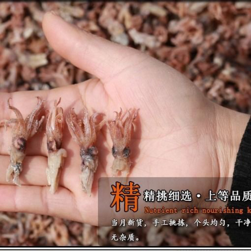 墨鱼仔展会地摊电商墨鱼仔墨鱼头海土头鱿鱼头鱿鱼干乌贼干