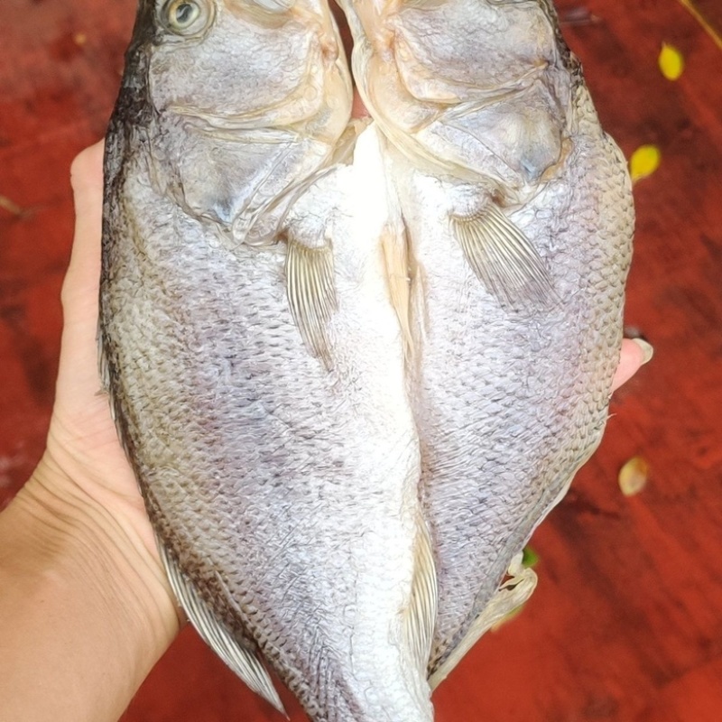 鲈鱼展会地摊电商开边鲈鱼干淡水鲈鱼干卢仔卢肉特大号鲈鱼干