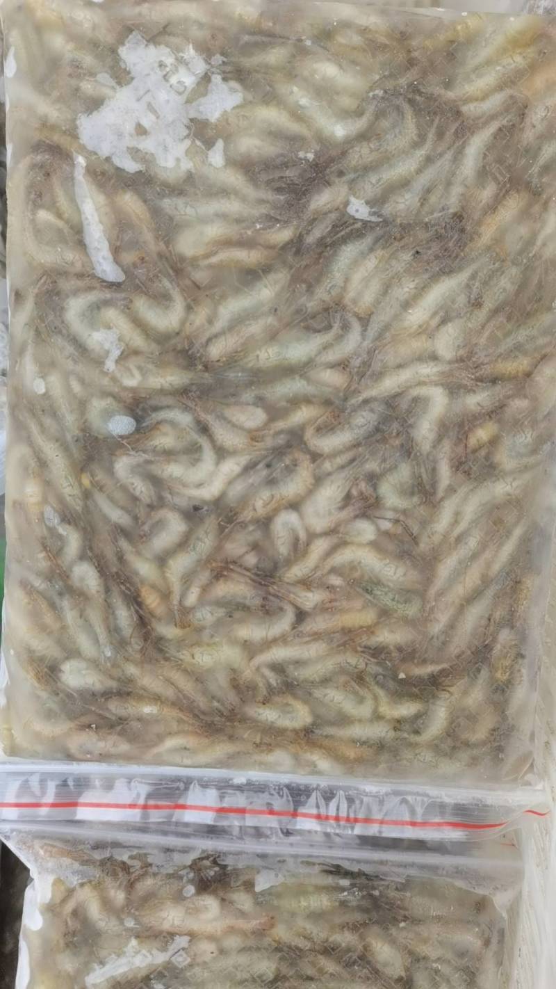 速冻河虾欢迎下単备种规格都有