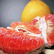 正宗广丰马家柚原产地，产地直发，保质保量，欢迎前来选购。