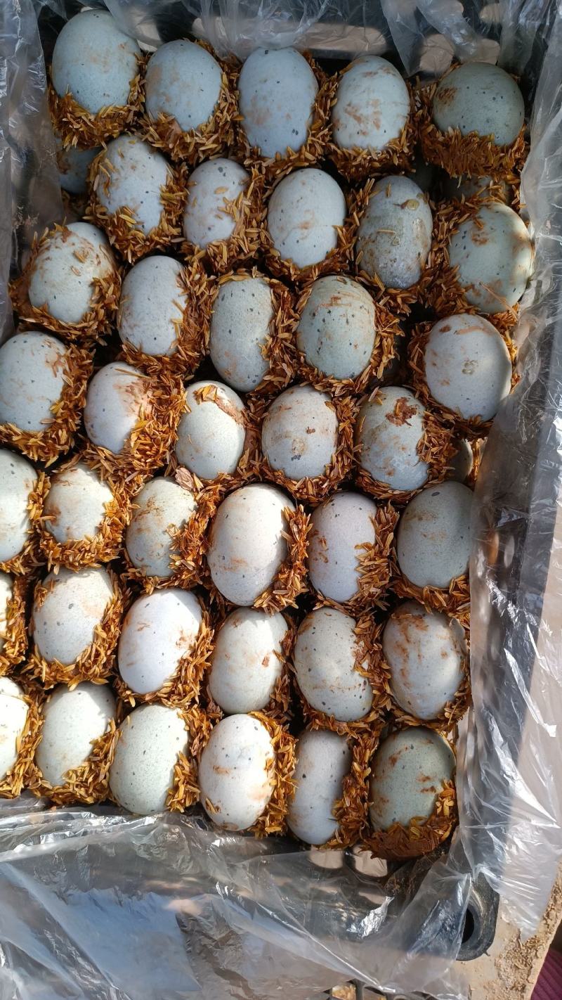 陕西特产精品松花蛋包装齐全量大从优整车走货价格可谈