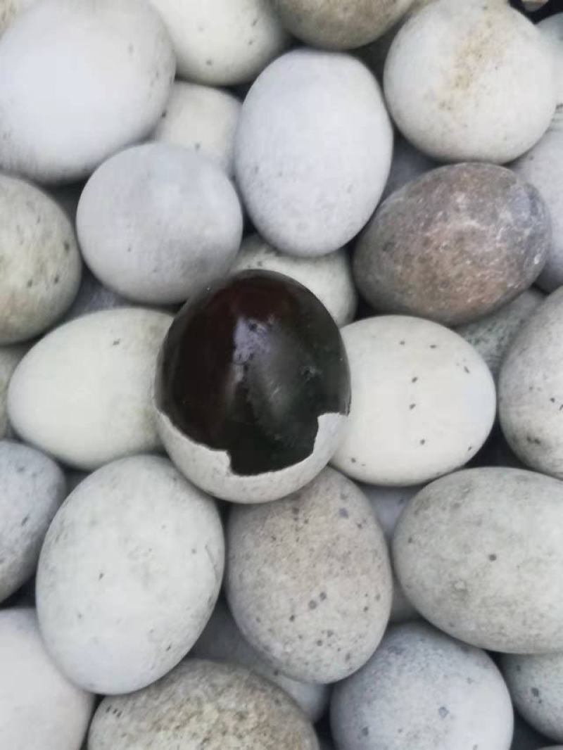 陕西特产精品松花蛋包装齐全量大从优整车走货价格可谈