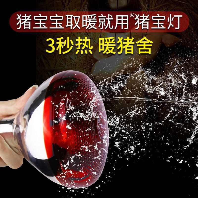 养殖专用保温灯取暖加热灯恒温灯仔猪保暖灯泡小猪小鸡畜牧专