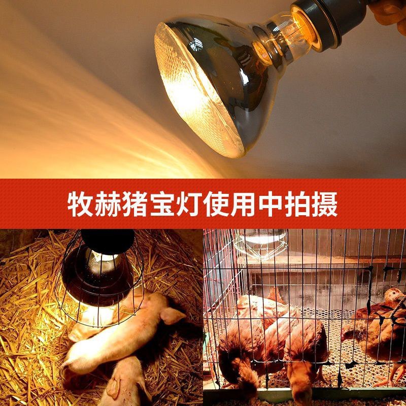 养殖专用保温灯取暖加热灯恒温灯仔猪保暖灯泡小猪小鸡畜牧专