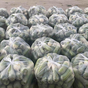 需要的朋友可以联系我