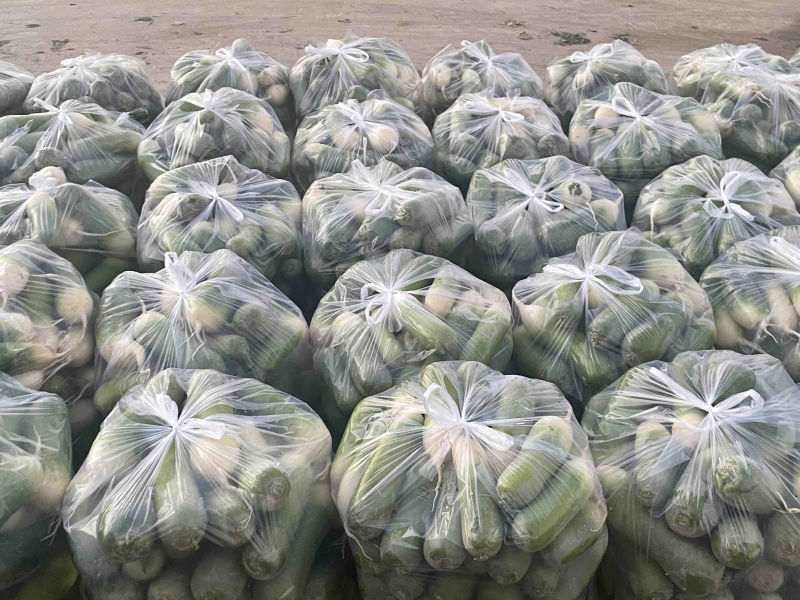 需要的朋友可以联系我