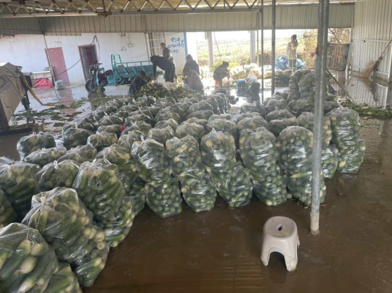 需要的朋友可以联系我