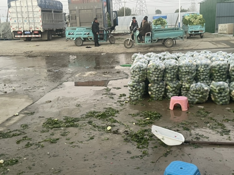 需要的朋友可以联系我