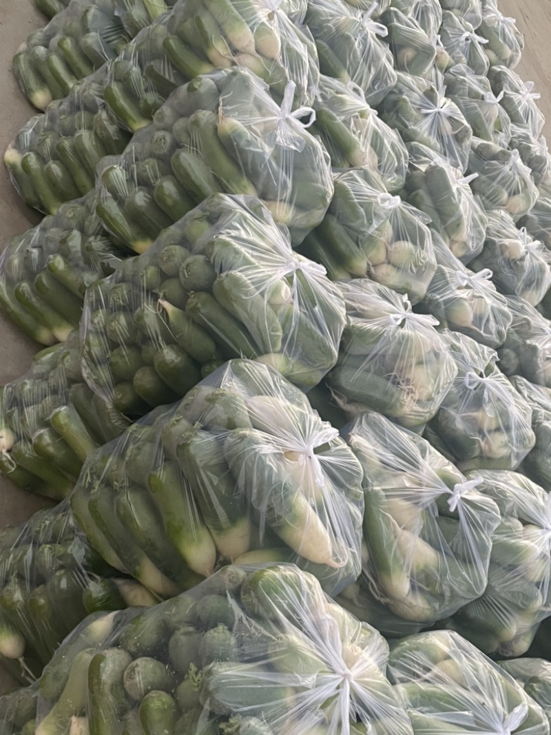 需要的朋友可以联系我